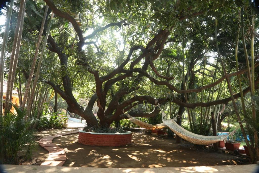 Outpost@Alibaug Hotell Alībāg Eksteriør bilde